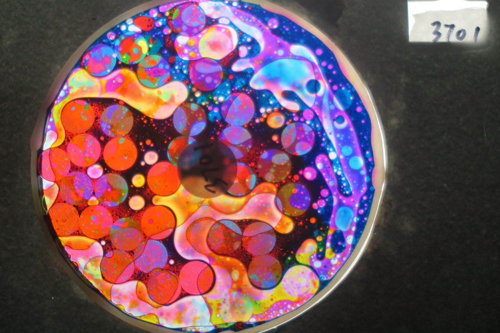 BV3701 bubble vision oil wheel